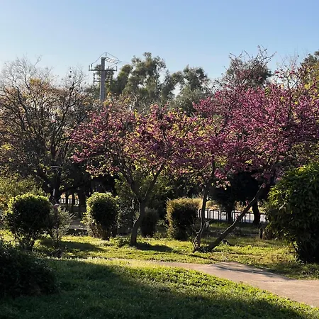 דירות Sunny אתונה מראה חיצוני תמונה